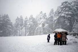 Service Provider of Shimla To Manali Delhi Delhi 